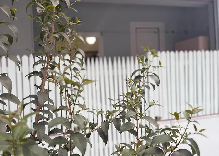 Sol Peaceful Retreat Tirana